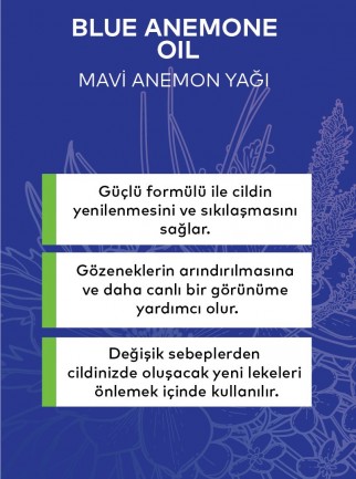 Mavi Anemon Yağı 20 ML