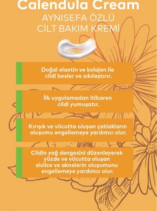 Aynısefa Cilt Bakım Kremi 50 ML