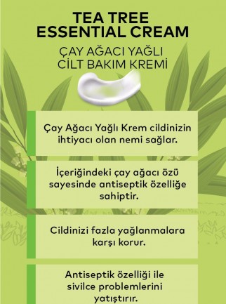 Çay Ağacı Kremi 100 ML